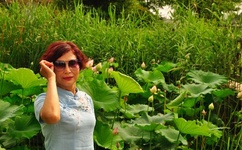 5566精彩网址大全